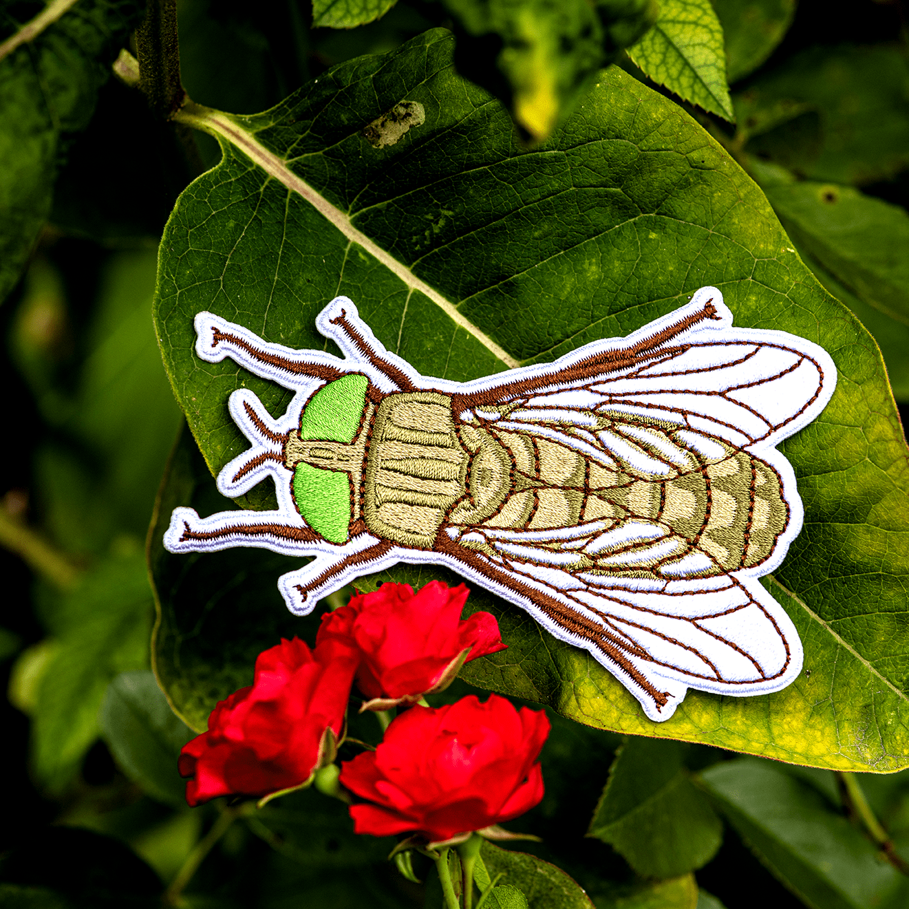 Greenhead Horse Fly Iron-on Patch
