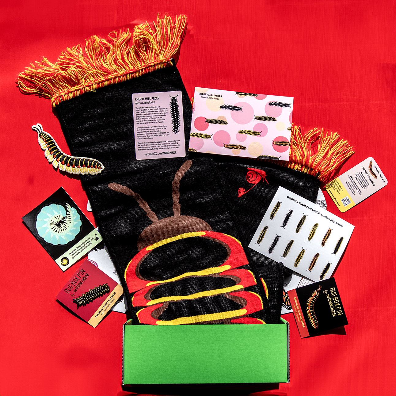 Cherry Millipede Bug Box by The Roving House