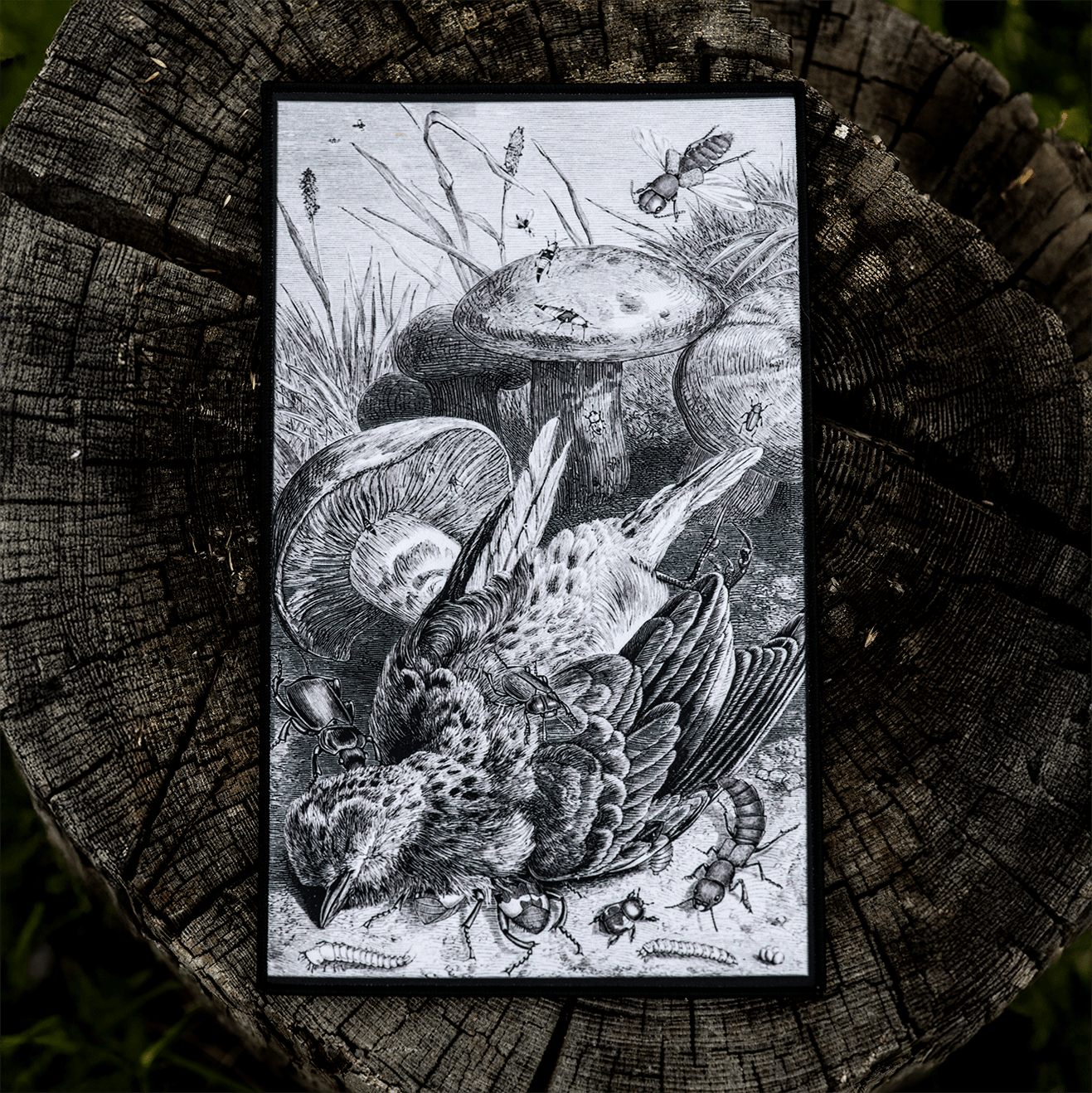 The Devil's Tea - time XL Back Patch by The Roving House