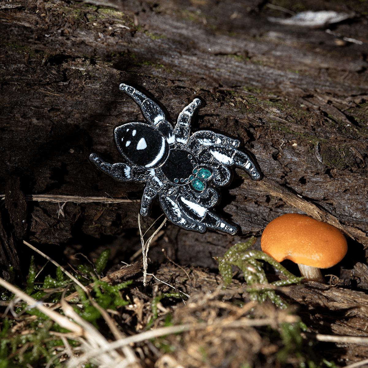 Regal Jumping Spider Male Enamel Pin by The Roving House