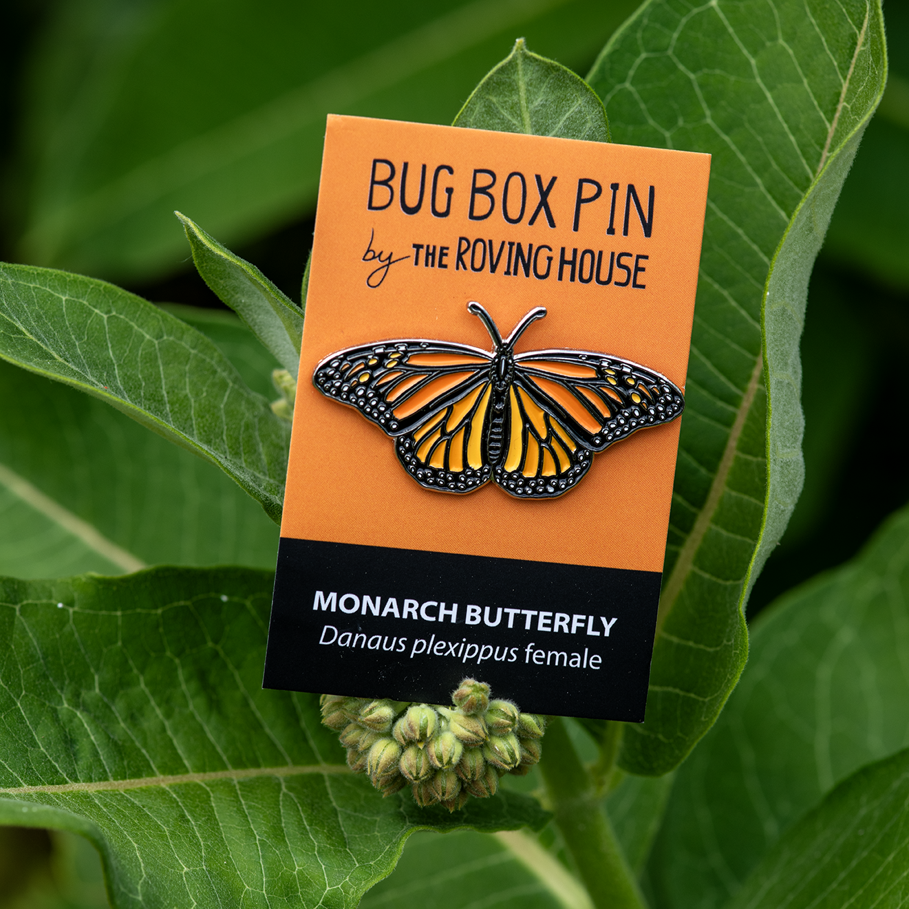 Monarch Butterfly Enamel Pin