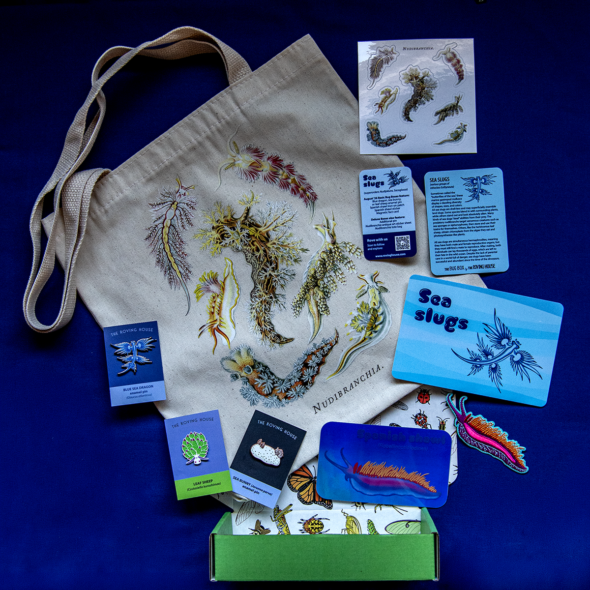 Sea Slug Bug Box