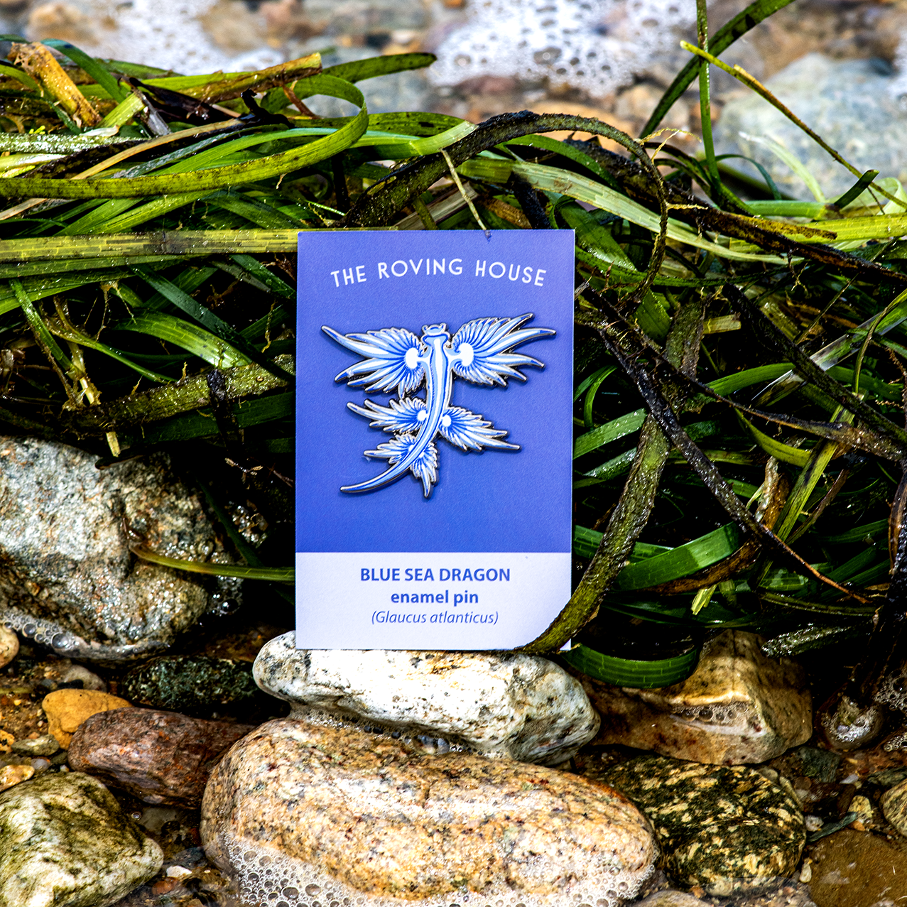 Blue Dragon Nudibranch Enamel Pin by The Roving House