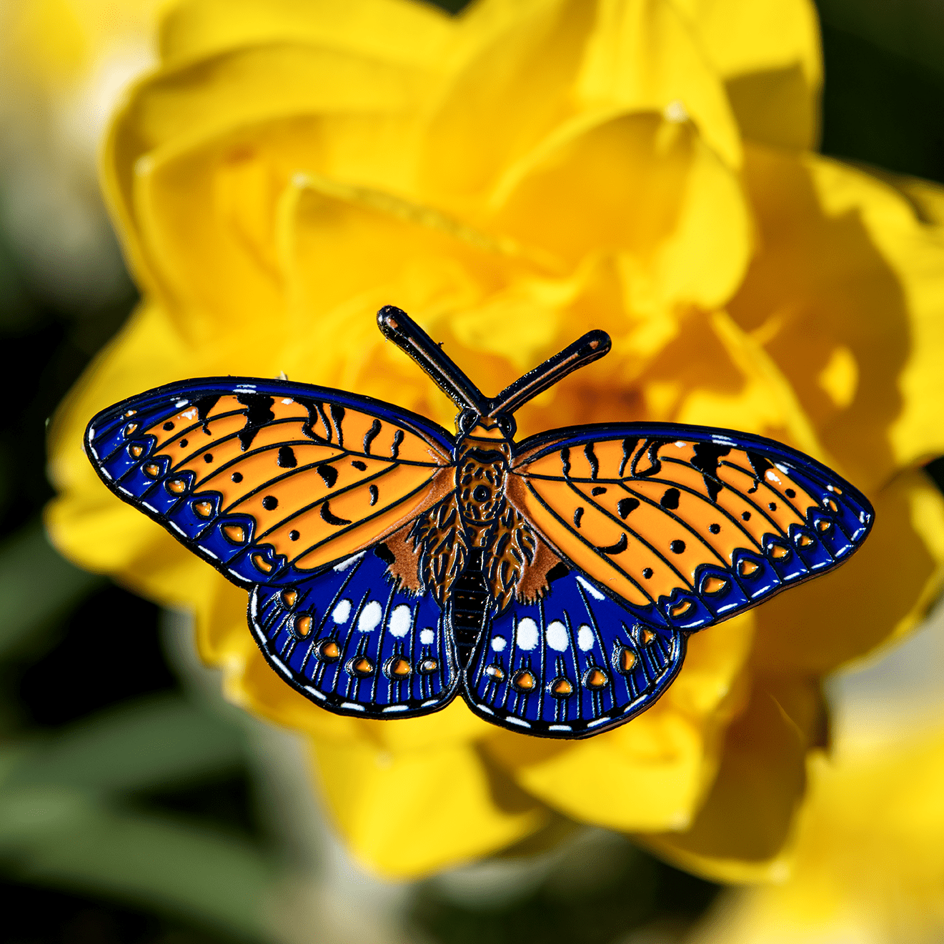 Regal Fritillary Male Butterfly Enamel Pin