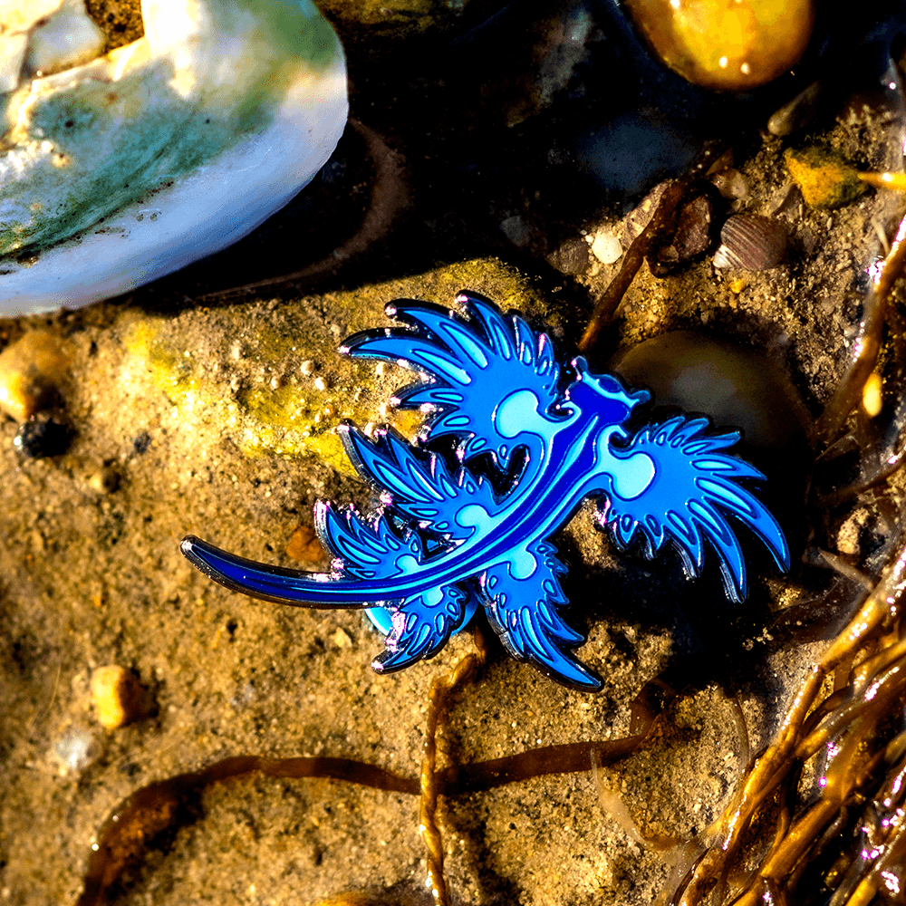 Blue Dragon Nudibranch Pin - Blue Glow by The Roving House