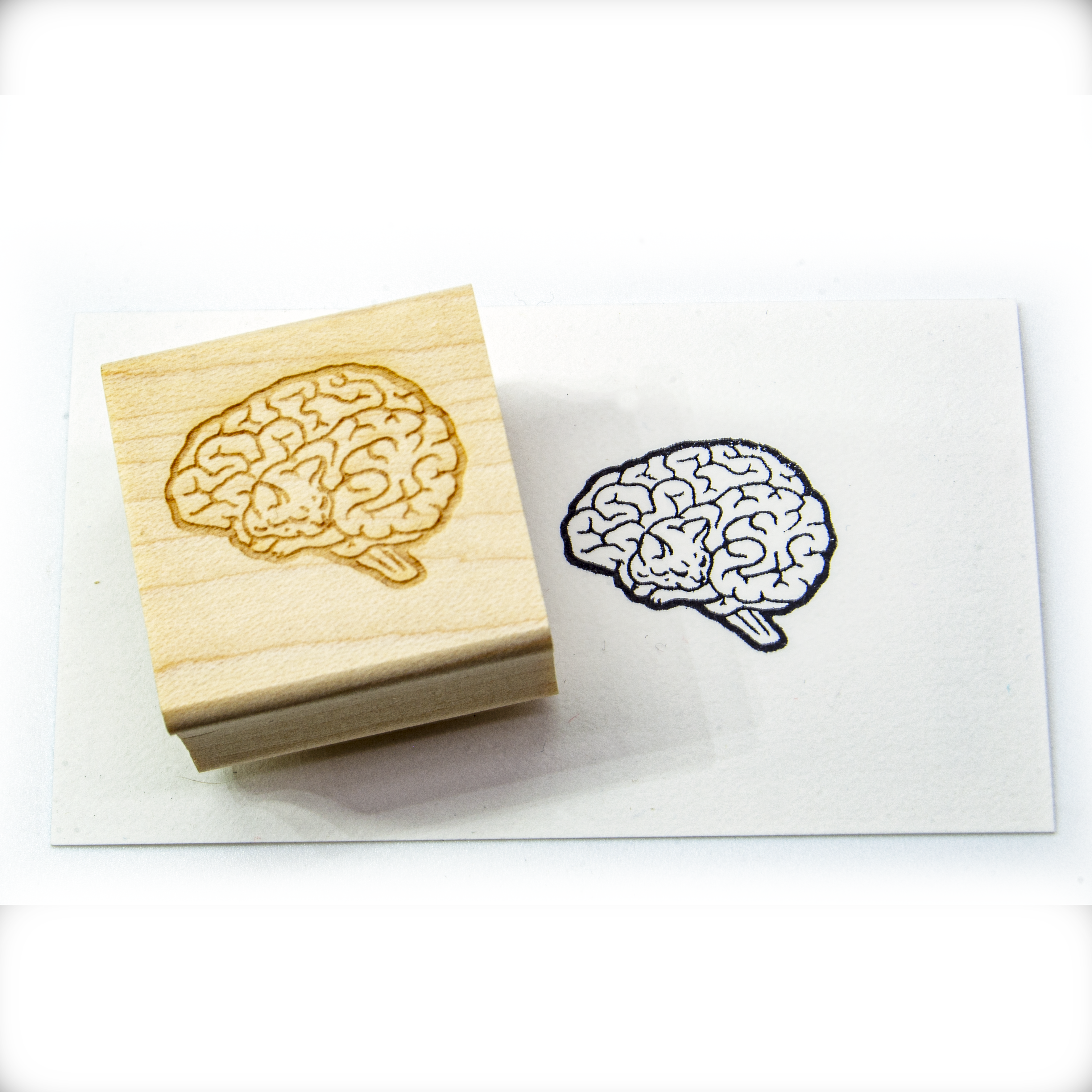 Cat Brain Stamp Block