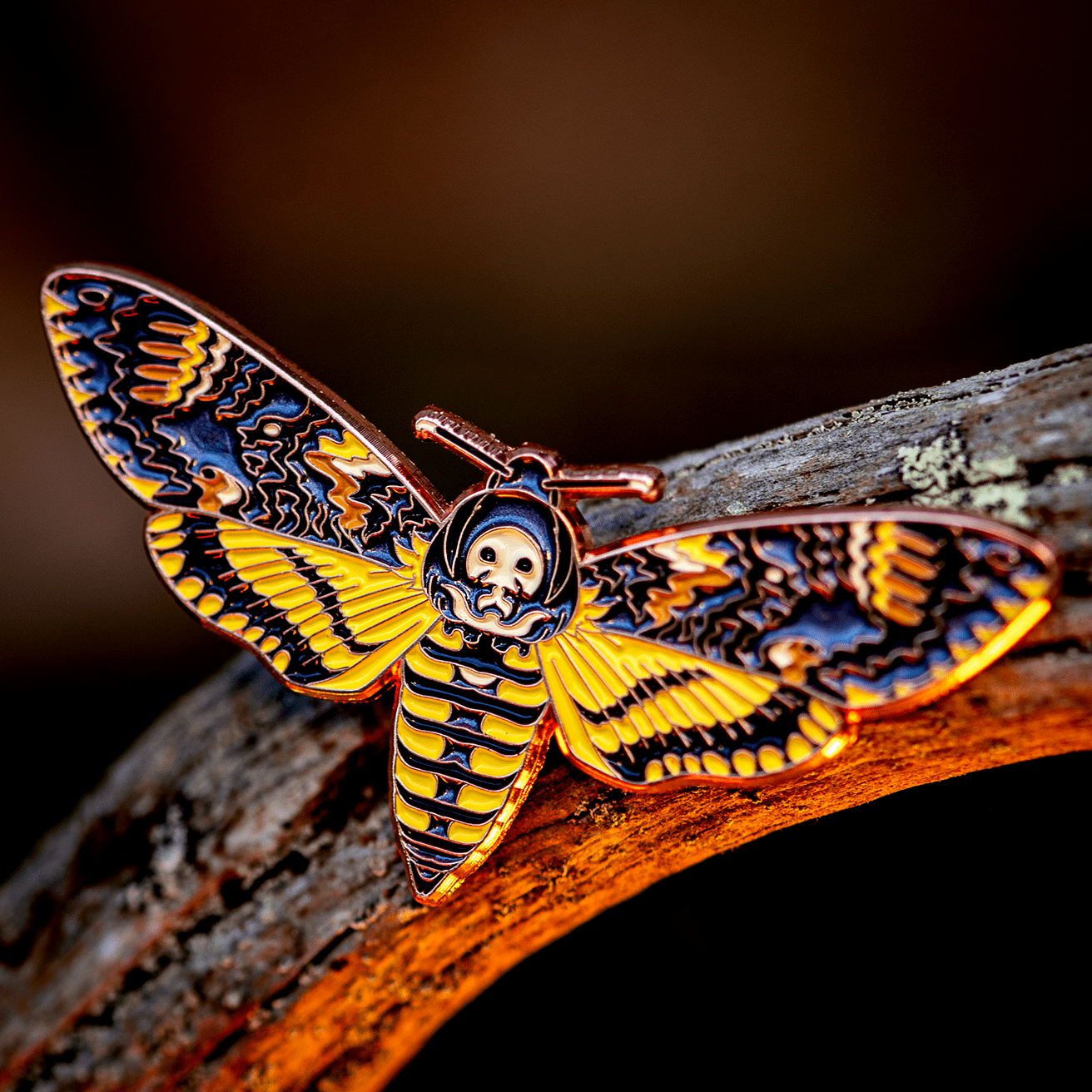 September 2023 Bug Box (African Death's-head Hawkmoth) by The Roving House