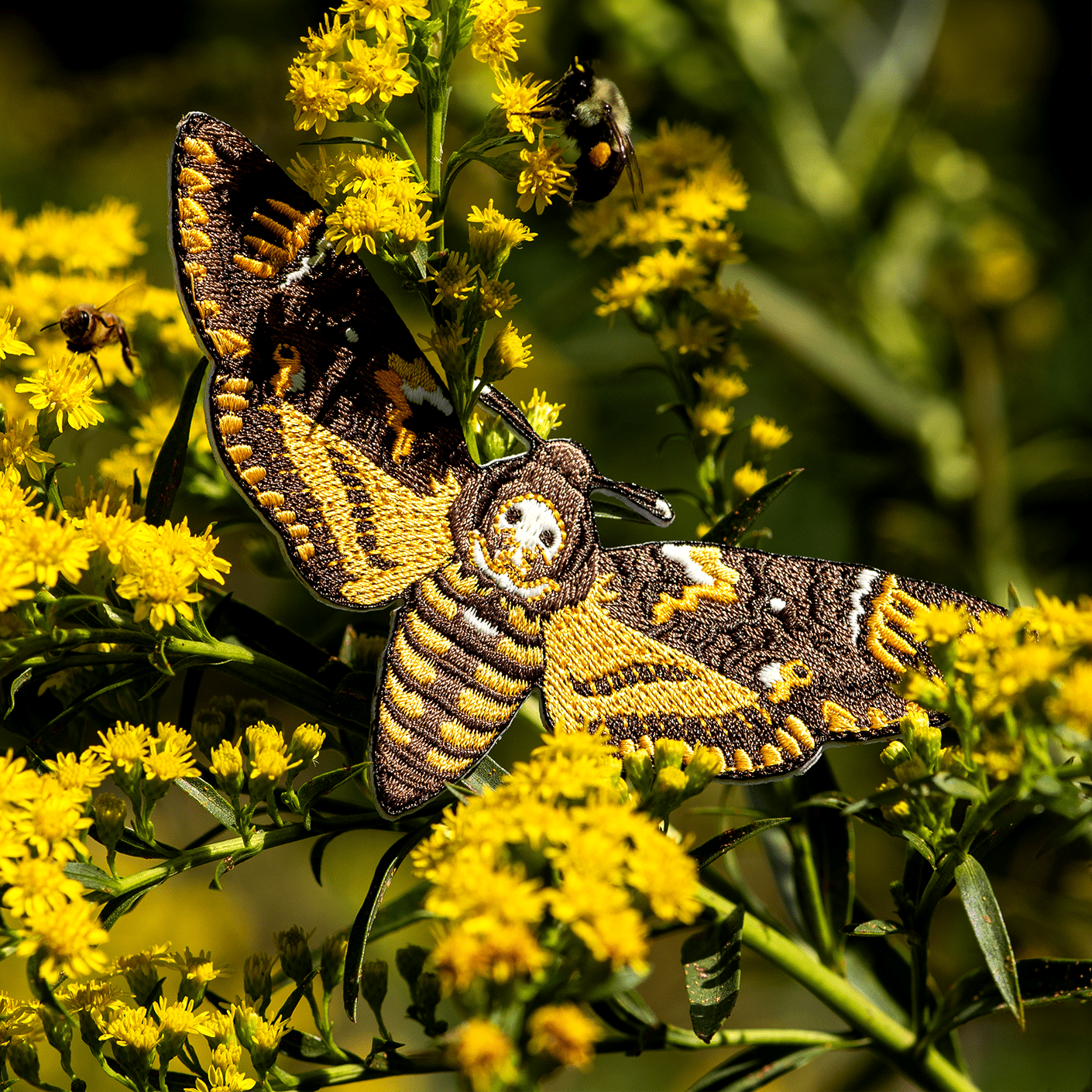 Death's Head Hawkmoth Patch by The Roving House