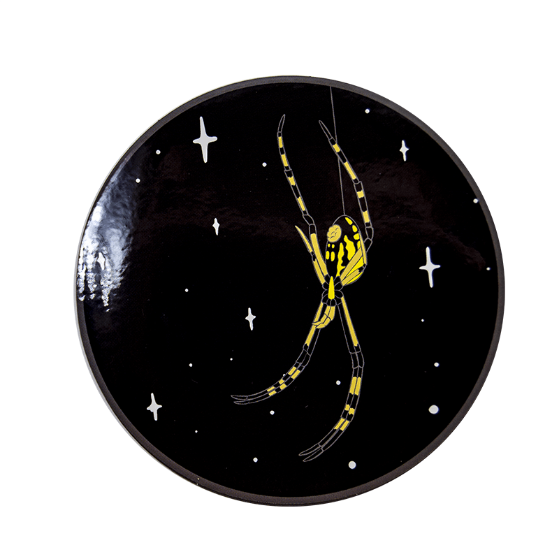 A YELLOW GARDEN SPIDER (Argiope aurantia) ON A SINGLE STRAND OF WEB IN FRONT OF A STARRY NIGHT SKY.