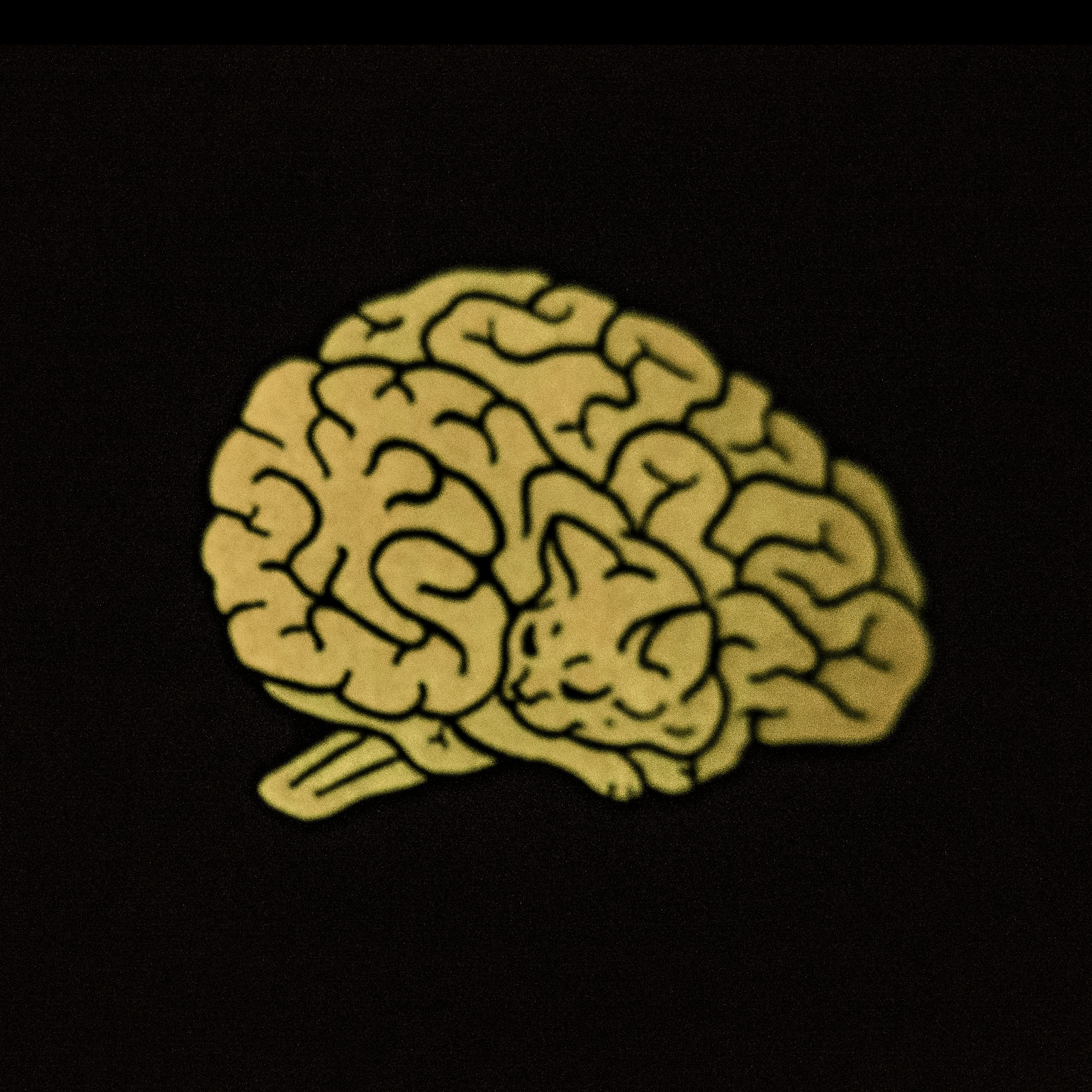 A soft enamel pin in the shape of a human brain. Upon closer inspection, the lines of the brain resemble a sleeping cat. This view shows the pin glowing in the dark.