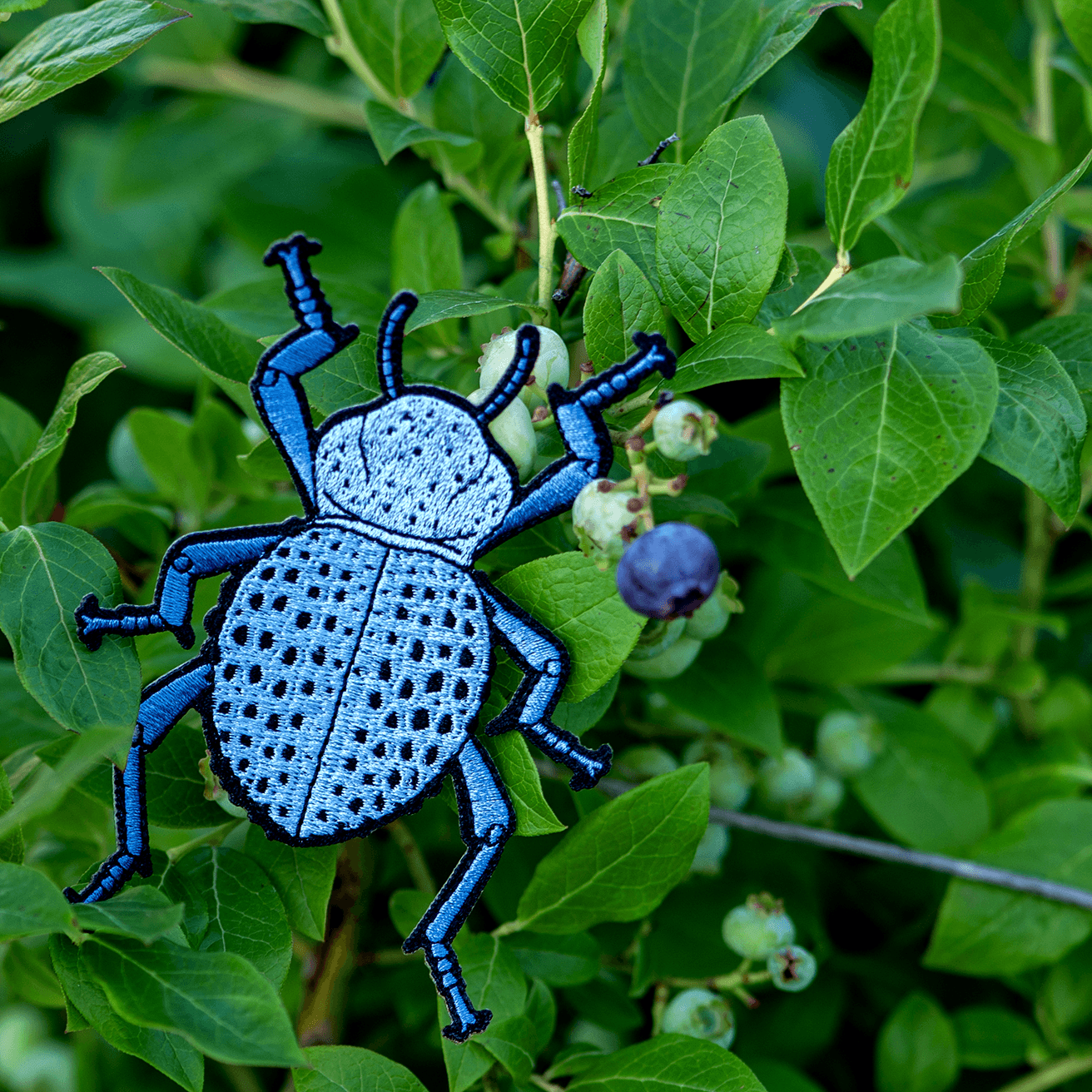 Blue Death Feigning Beetle Iron-on Patch by The Roving House