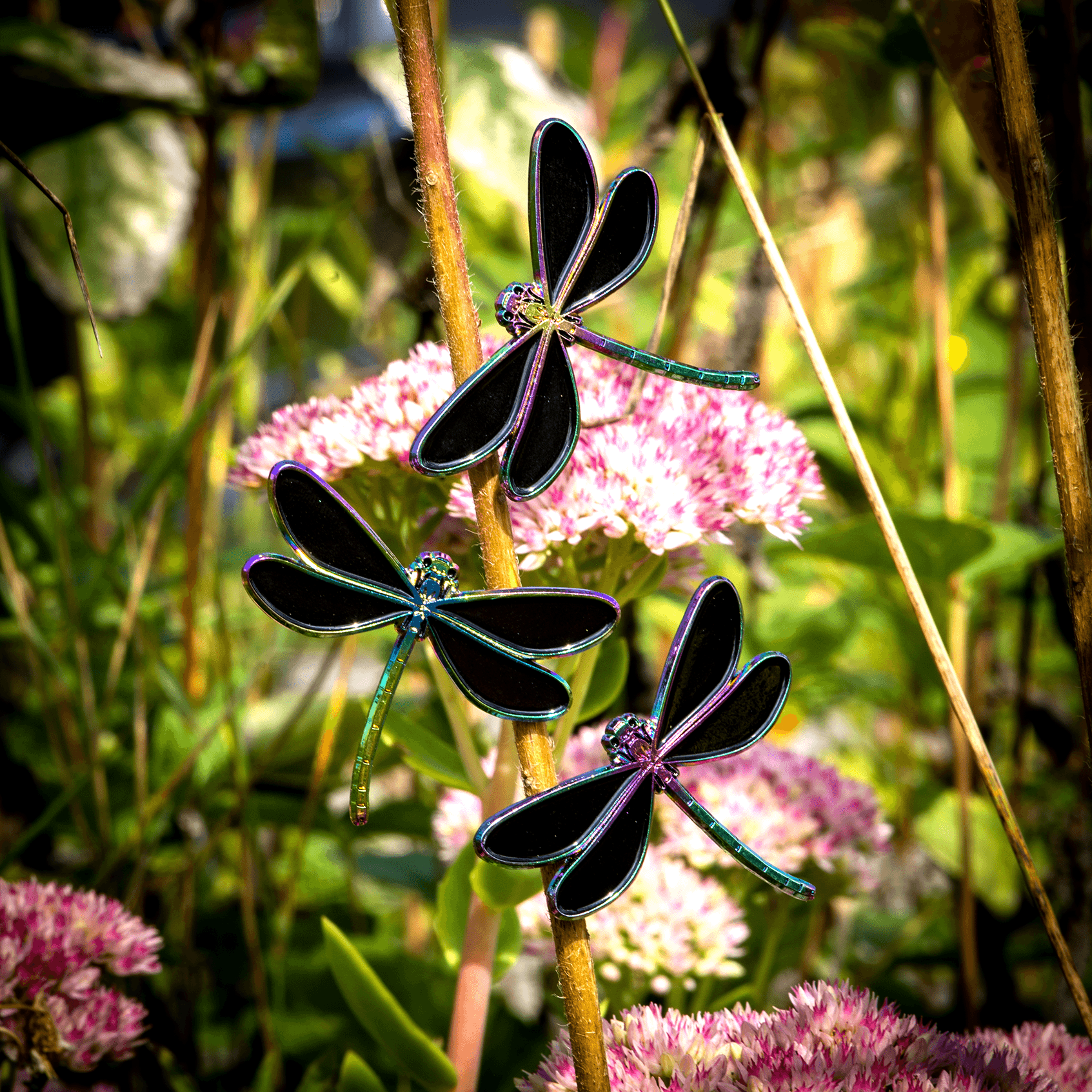 Ebony Jewelwing Damselfly Pin by The Roving House