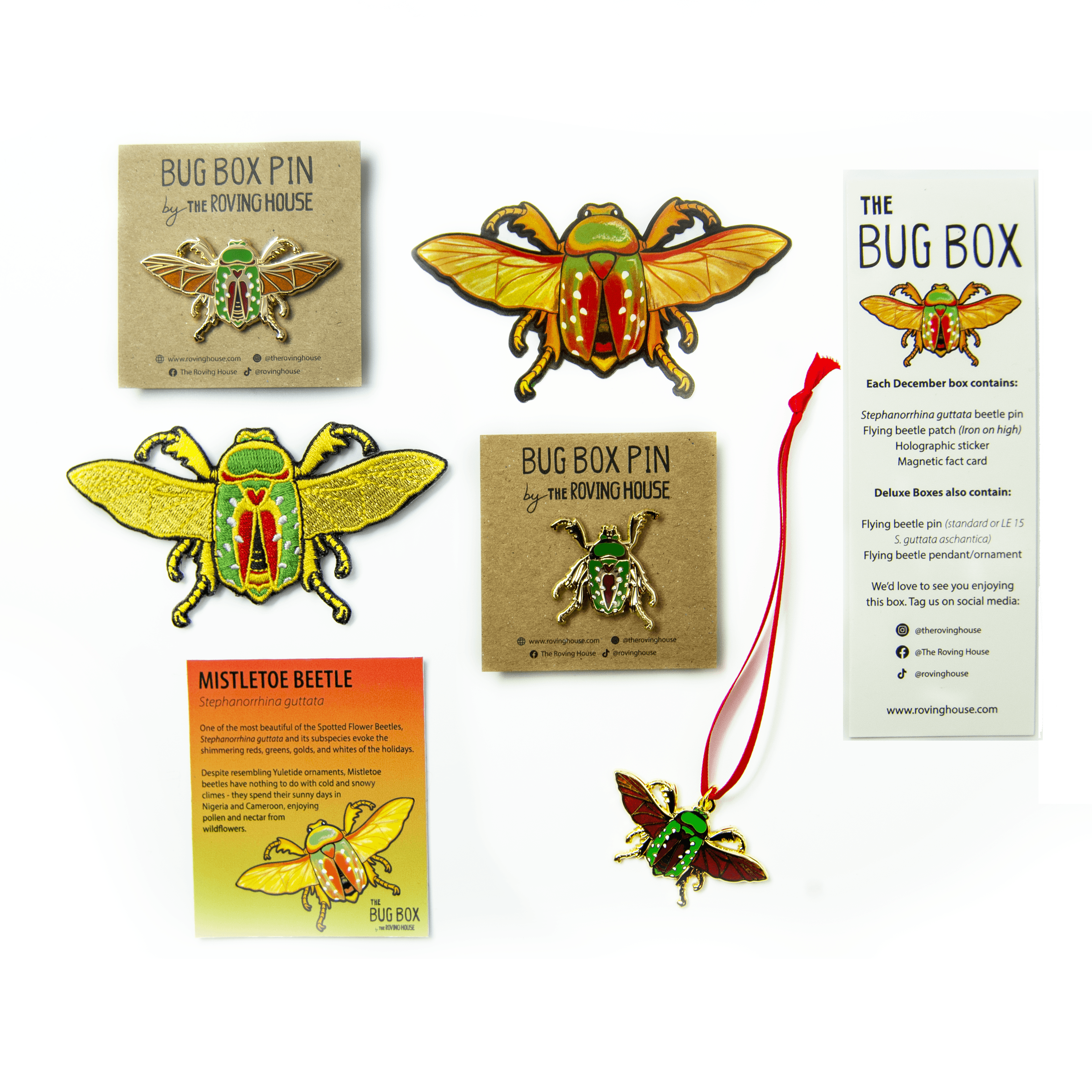 December 2021 Bug Box (Mistletoe Beetle) by The Roving House