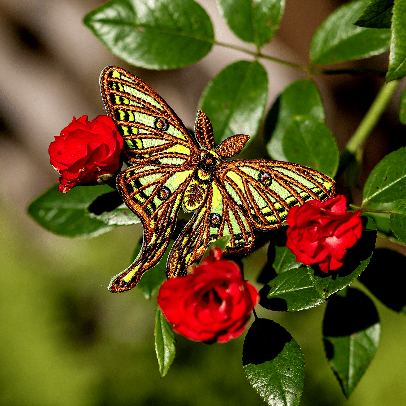 Spanish Moon Moth Patch by The Roving House