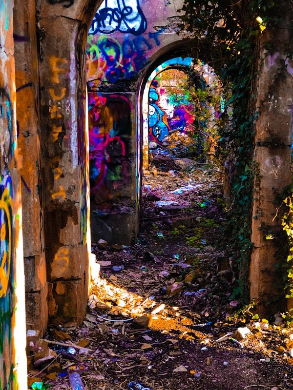 Winter's Flowers: the Graffitied Ruins of Belcher Cove - The Roving House