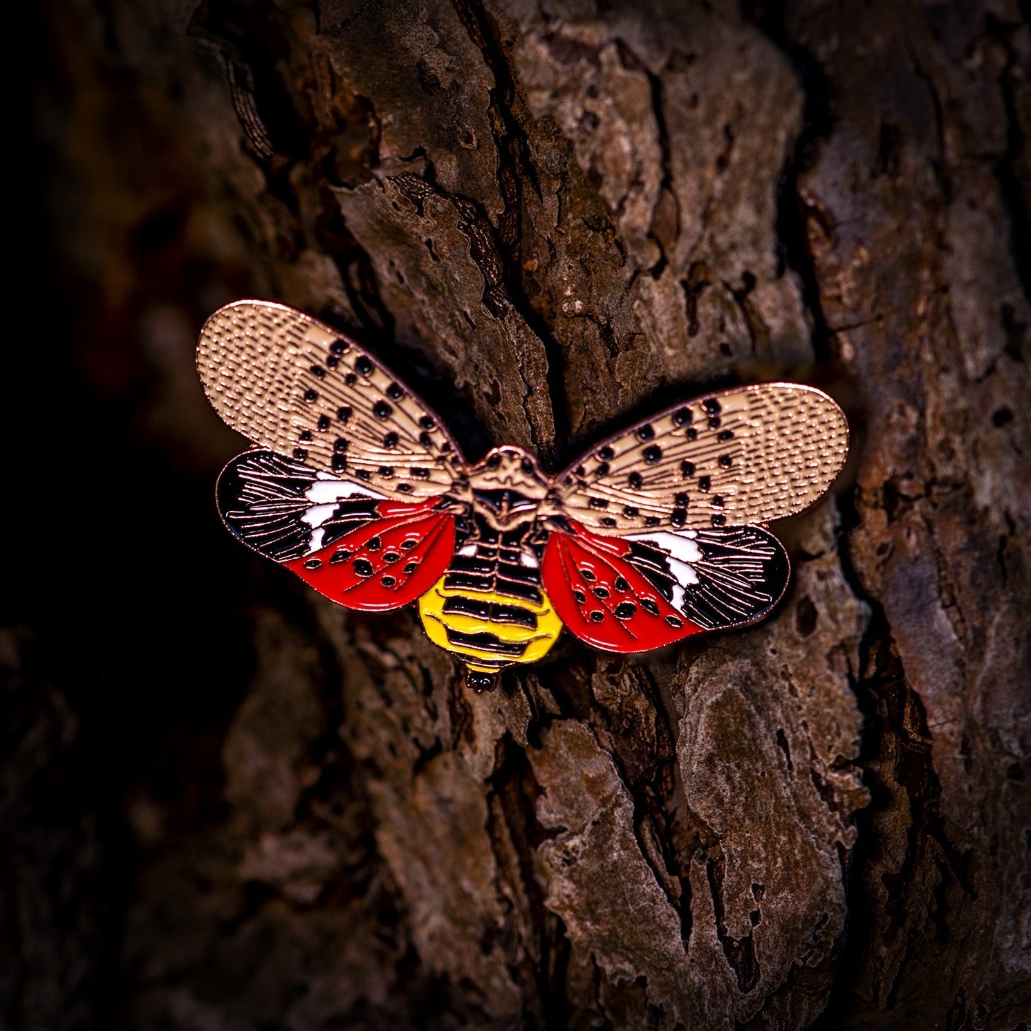 February's Bug Box: the Spotted Lanternfly - The Roving House