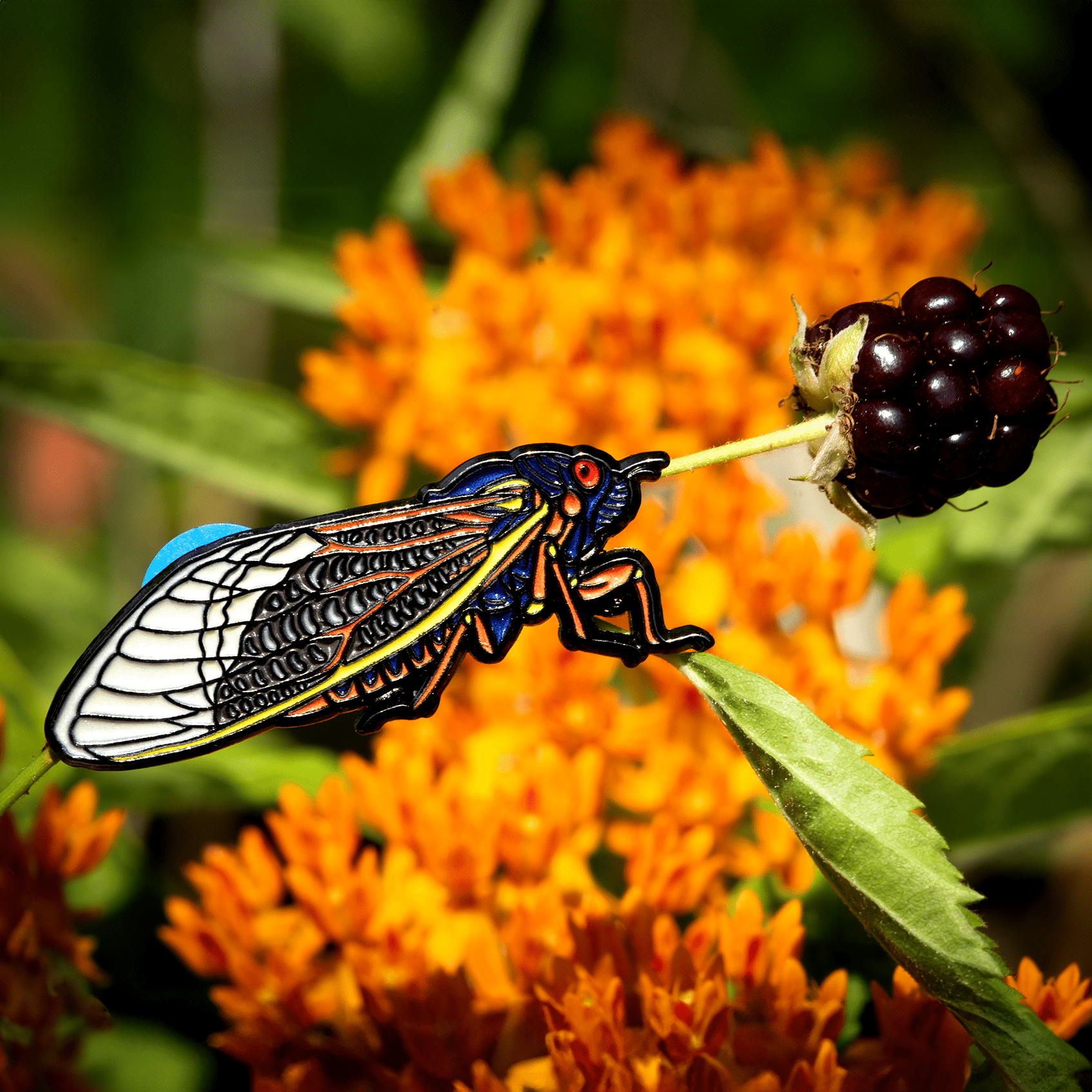 Periodical Cicada Enamel Pin by The Roving House