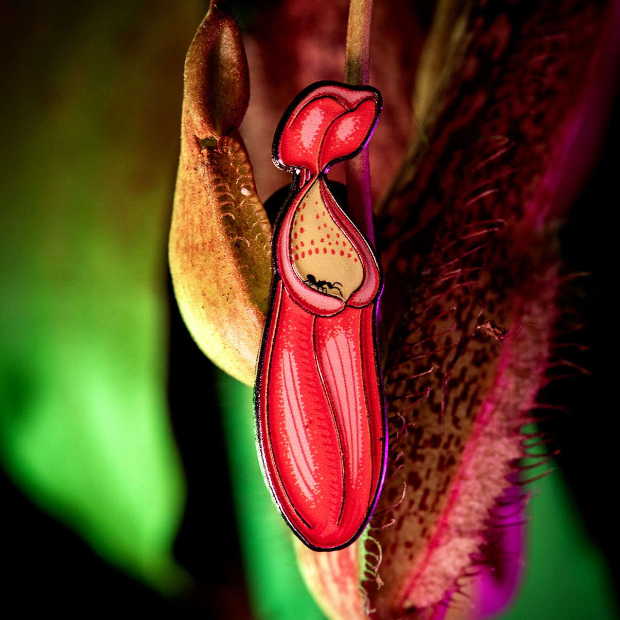 Nepenthes Sanguinea Pitcher Plant Enamel Pin