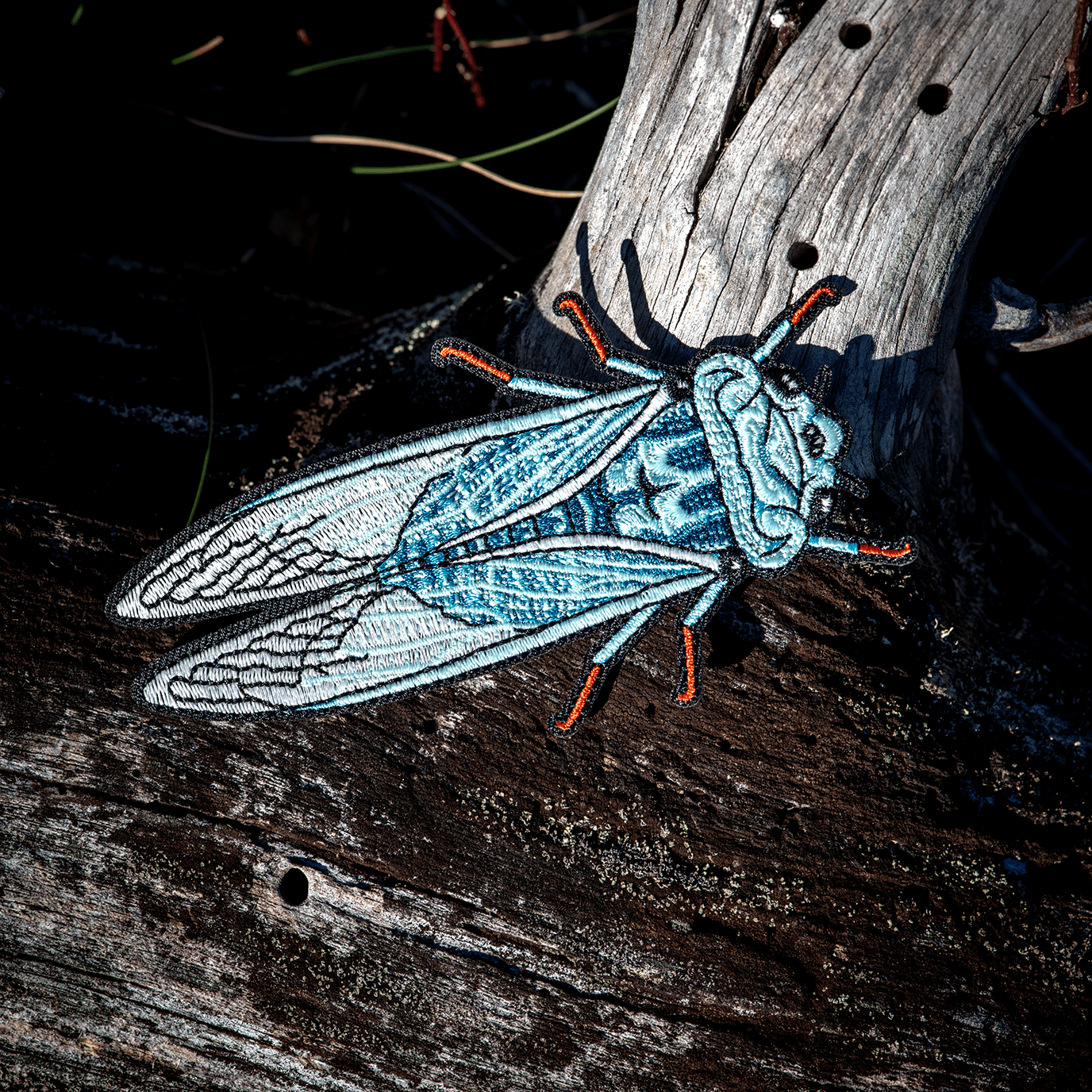 Blue Moon Cicada Patch by The Roving House