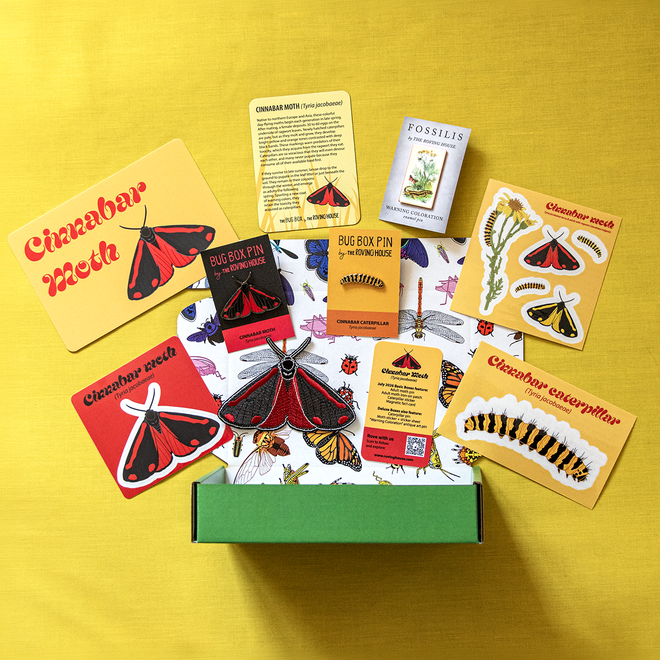 Cinnabar Moth Bug Box by The Roving House