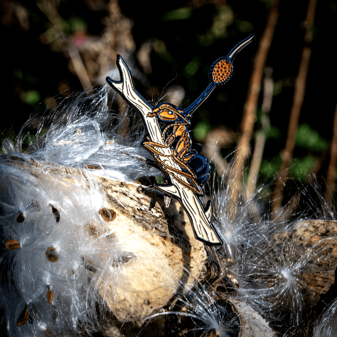 Cordyceps Bug Box by The Roving House