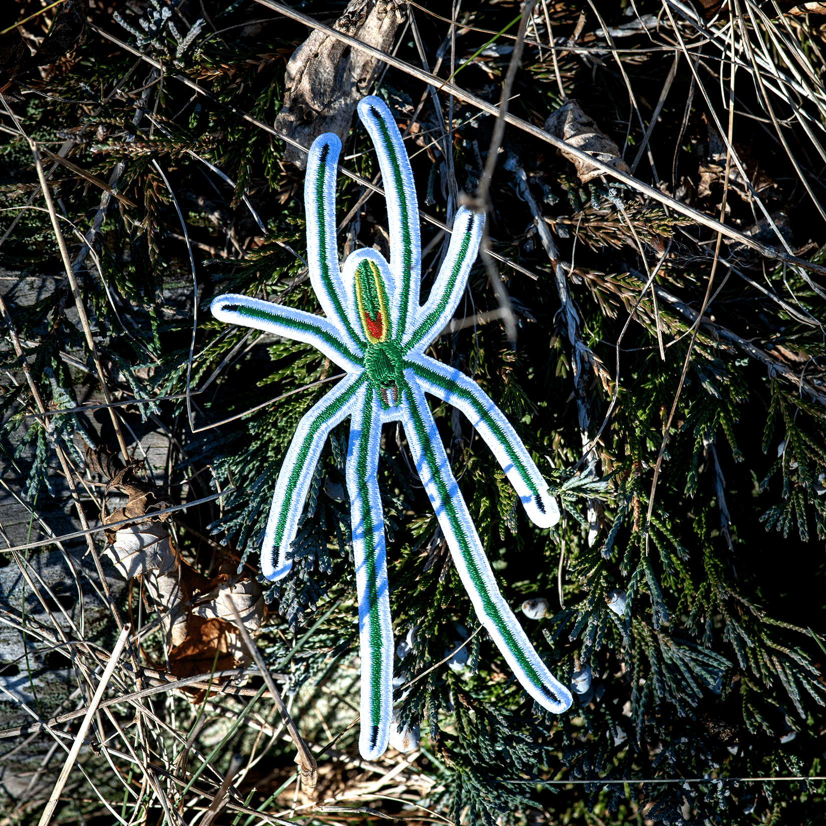 Green Long - jawed Orbweaver Iron - on Patch by The Roving House