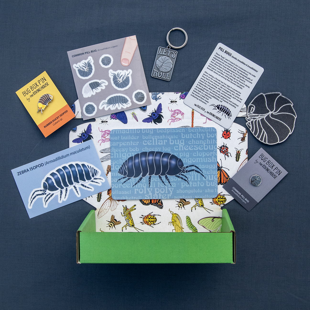 Isopod Bug Box by The Roving House