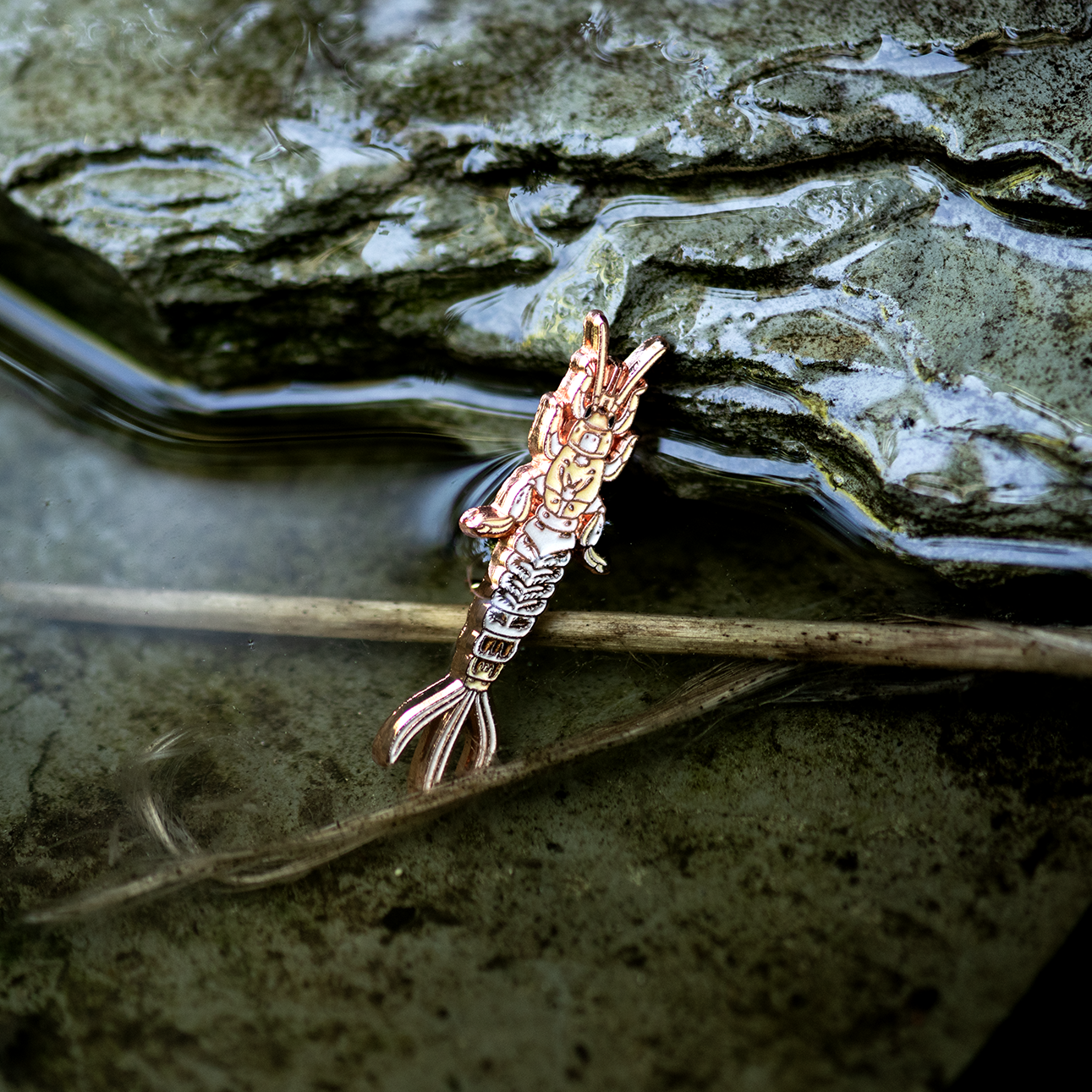 Green Drake Mayfly Nymph Enamel Pin by The Roving House