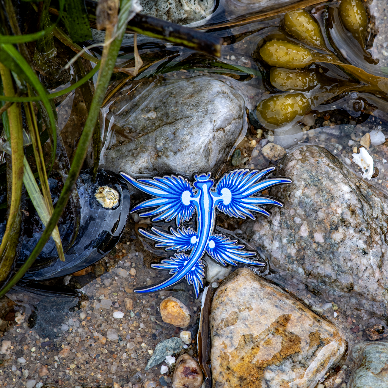 Blue Dragon Nudibranch Enamel Pin