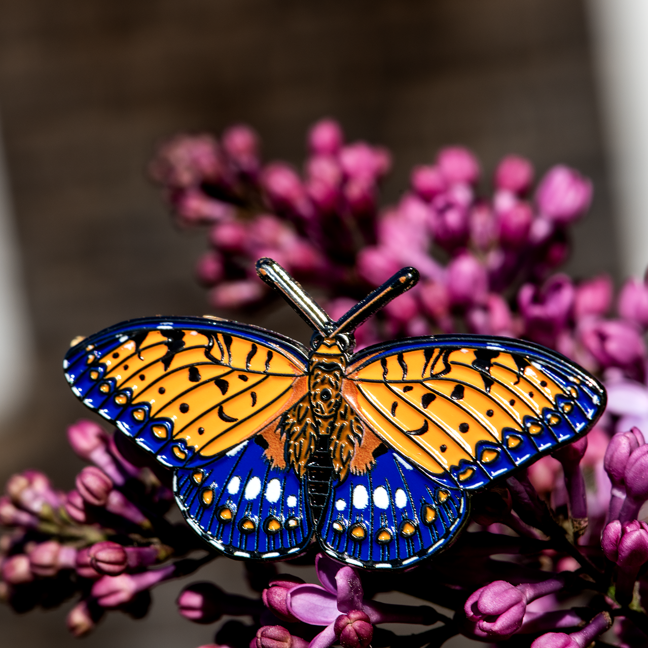 Regal Fritillary Male Butterfly Enamel Pin