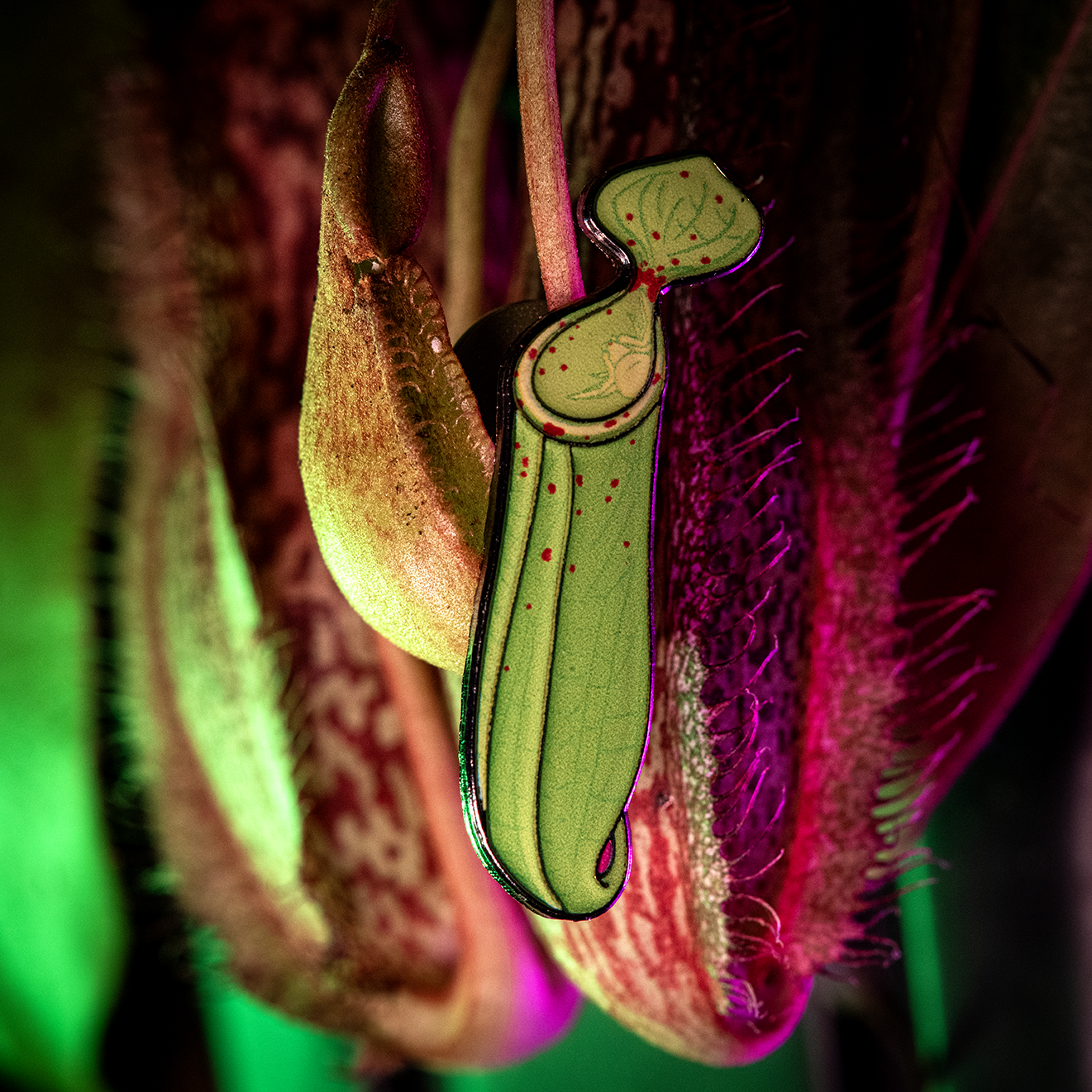 Pitcher-loving Crab Spider Enamel Pin