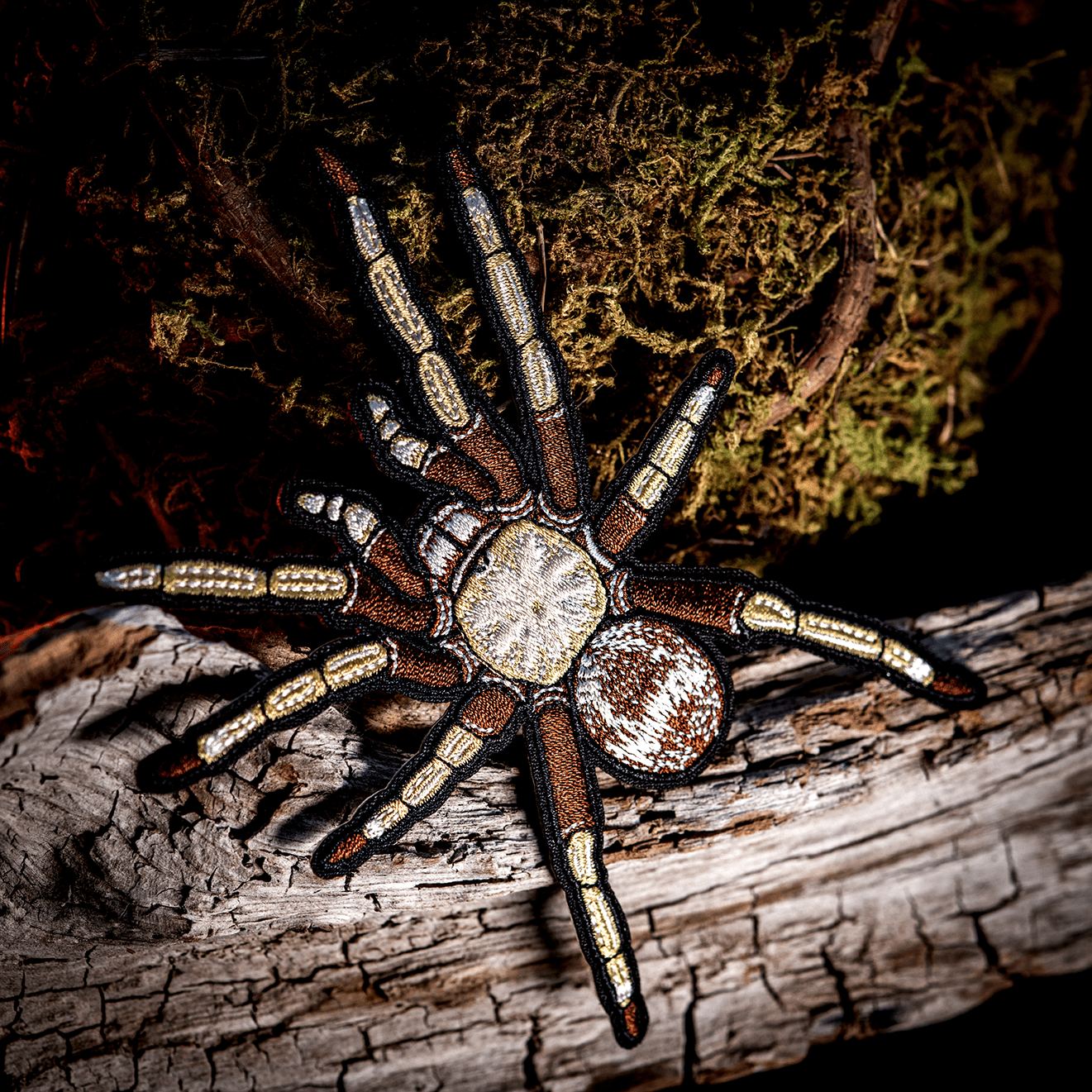 Arizona Blonde Tarantula Iron - on Patch by The Roving House