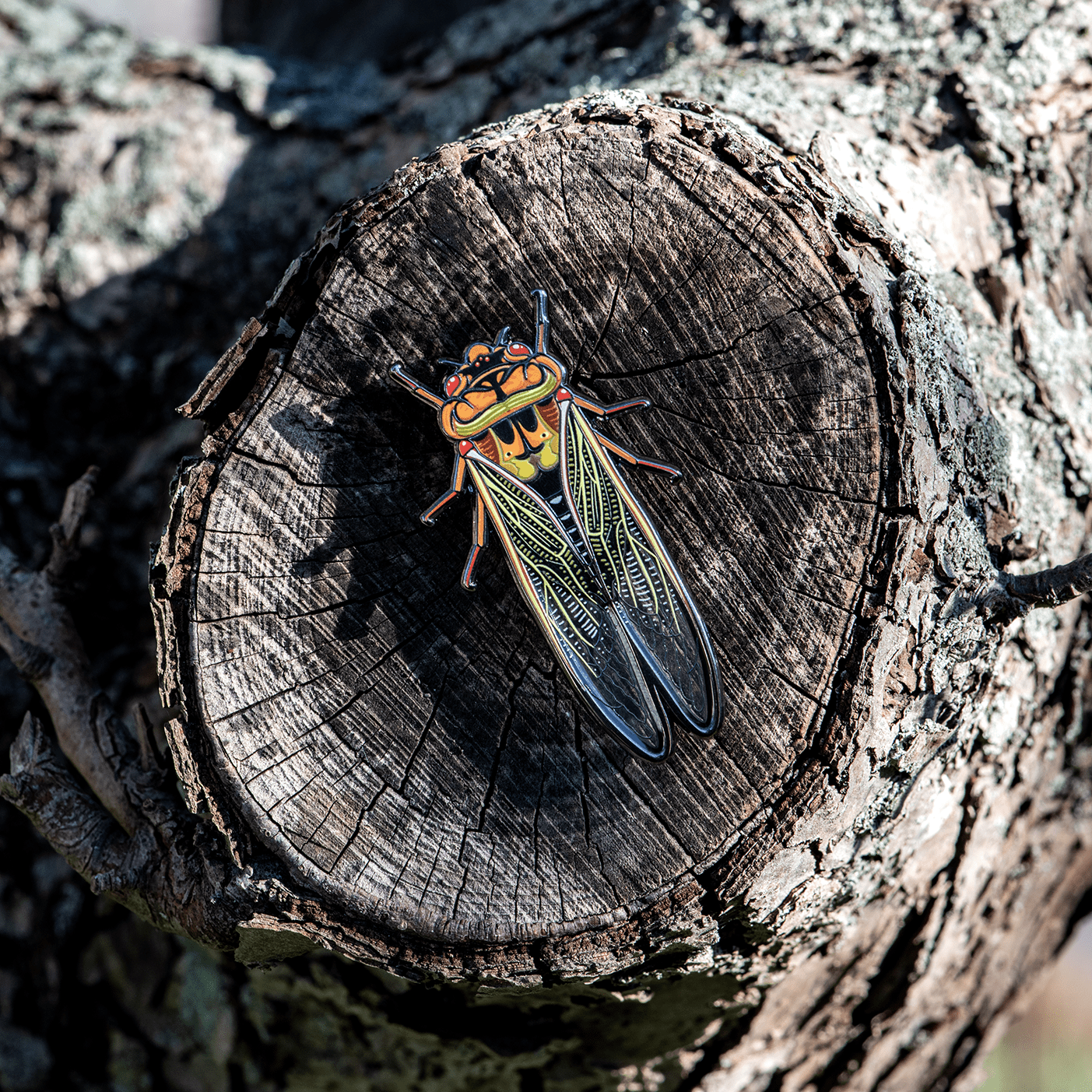 Masked Devil Cicada Enamel Pin by The Roving House