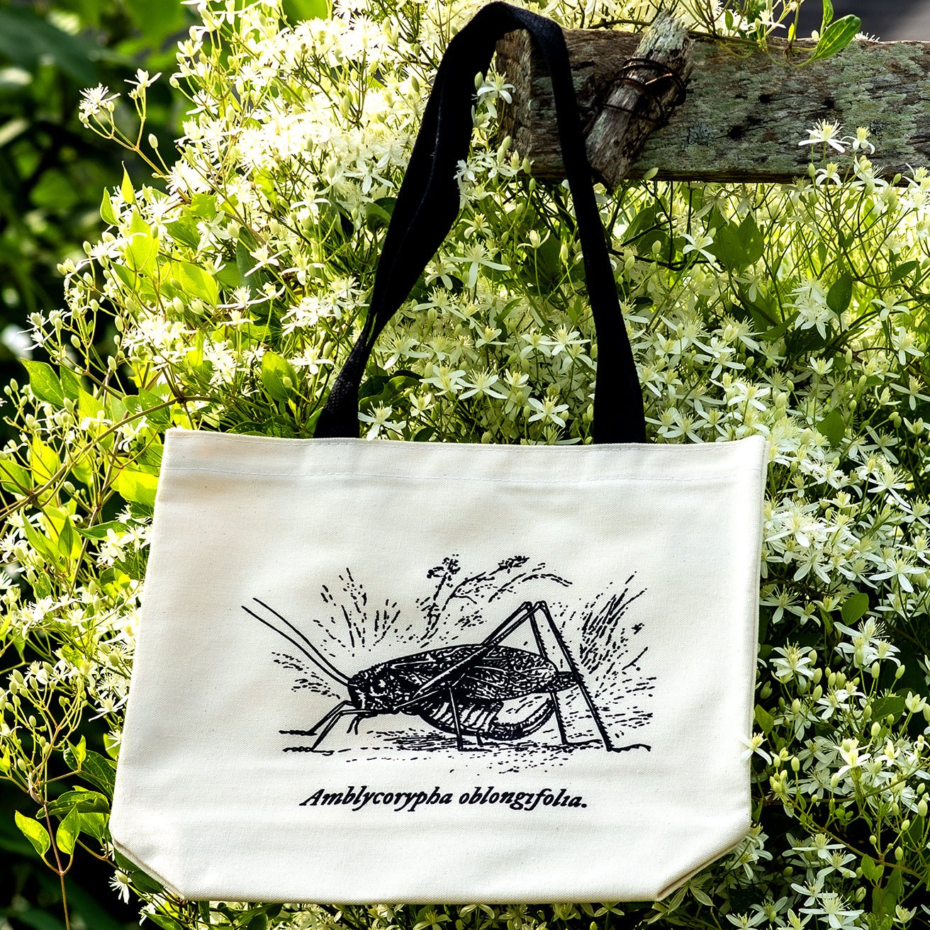Oblong-winged Katydid Vintage Art Tote by The Roving House