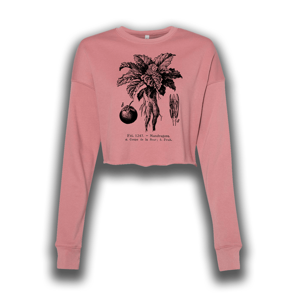 A soft pink longsleeve crop top featuring vintage artwork, a botanical plate of the Mandrake root and plant, printed in black.