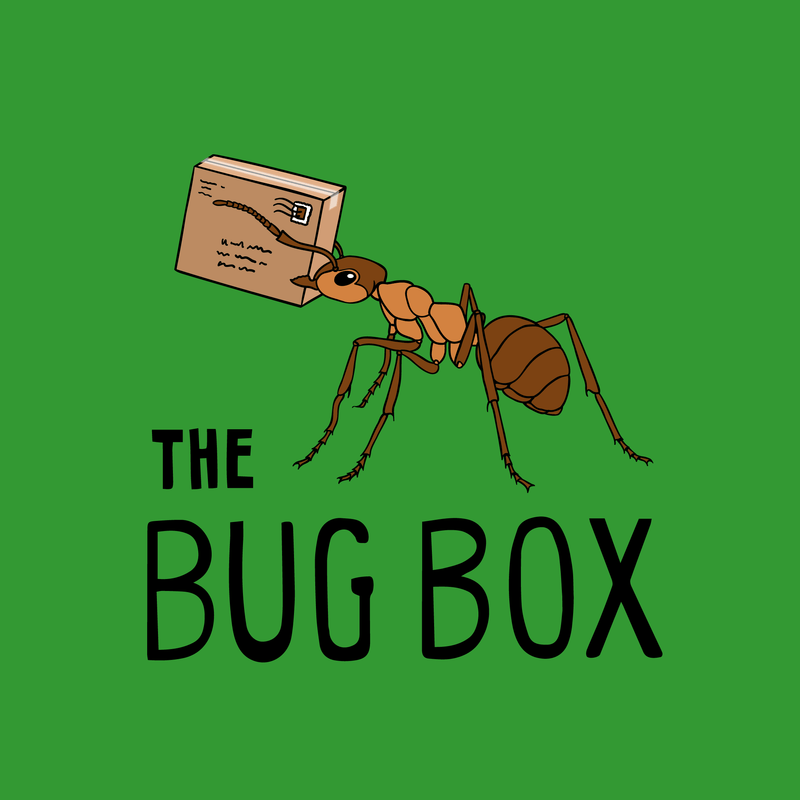 An illustration of an ant carrying a parcel, with "THE BUG BOX" written below.