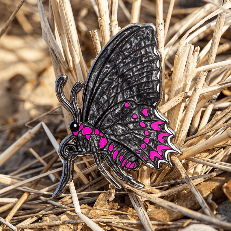 February 2022 Bug Box (Pink-spotted Cattleheart Butterfly) by The Roving House