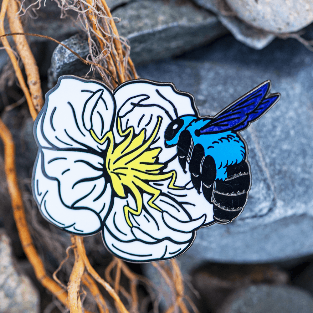 An enamel pin of a blue and black carpenter bee (Xylocopa caerulea) hovering over a white and yellow wild rhododendron flower. Beach stones make up the background.