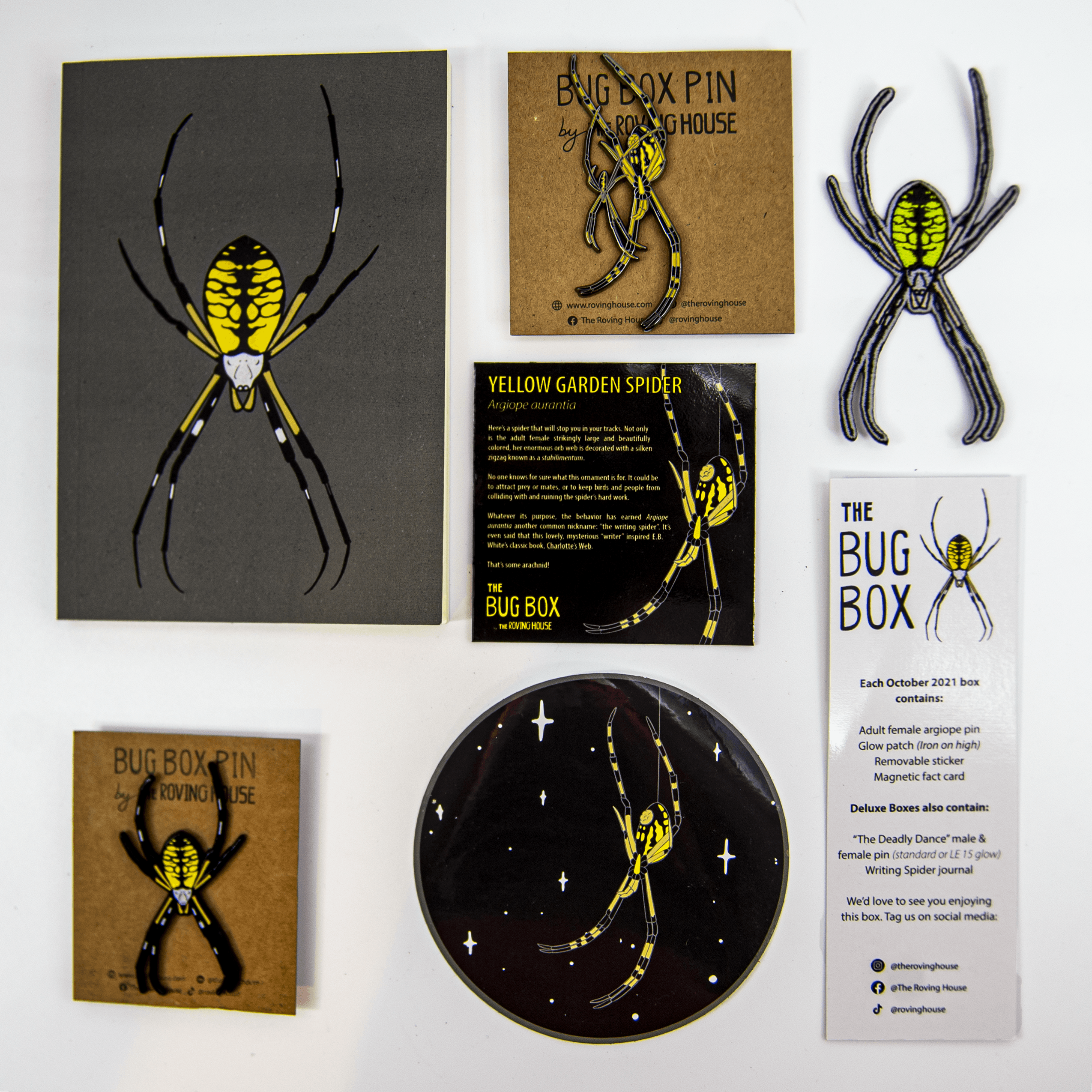 October 2021 Bug Box (Yellow Garden Spider)