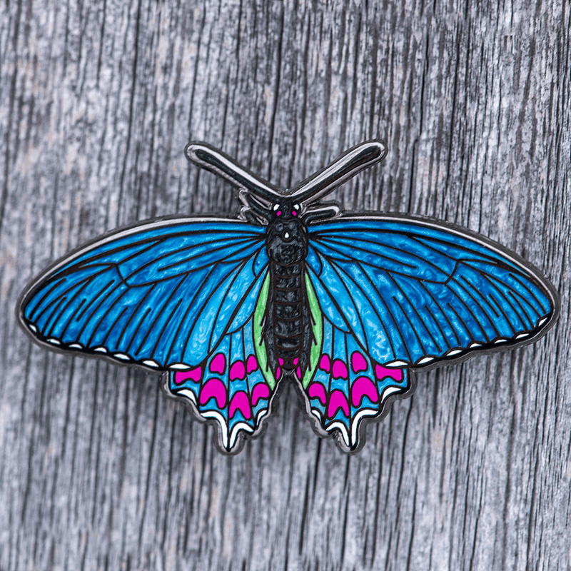 Pink-spotted Cattleheart Butterfly Enamel Pin (Dorsal) - Extra Blue Morph by The Roving House