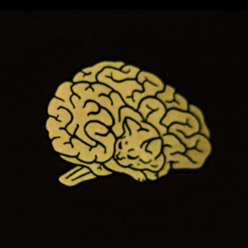 A soft enamel pin in the shape of a human brain. Upon closer inspection, the lines of the brain resemble a sleeping cat. This view shows the pin glowing in the dark.