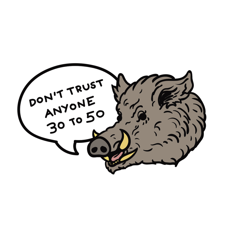 Thirty to Fifty Feral Hogs Sticker