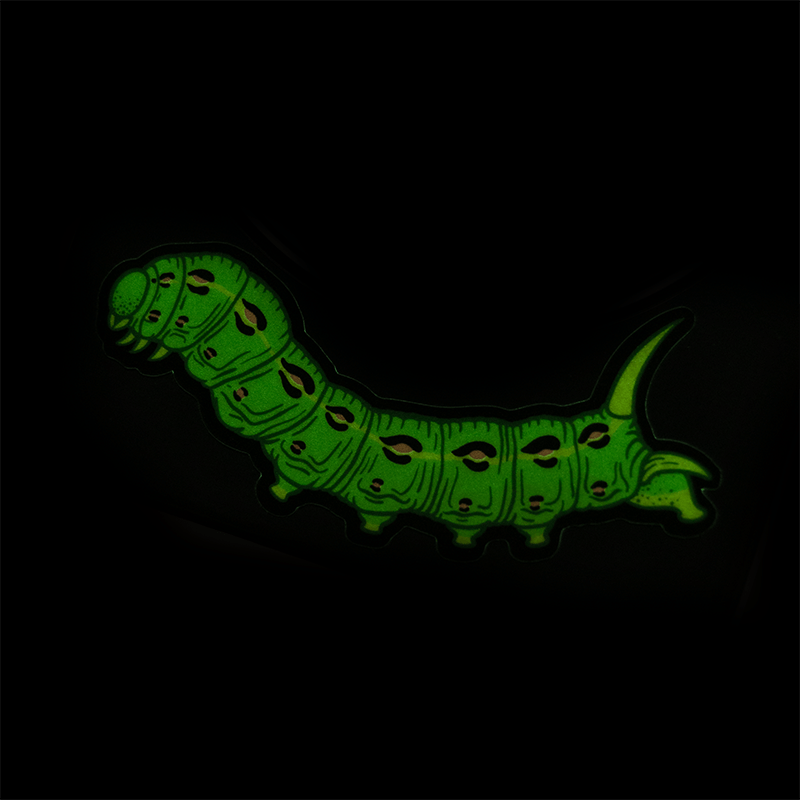 A vinyl sticker of the White-lined Sphinx Moth's (Hyles lineata) larva, a hornworm caterpillar, glowing green in the dark.