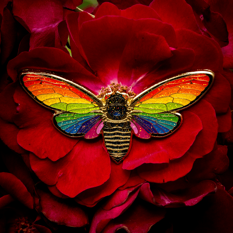 Rainbow Cicada Pin by The Roving House