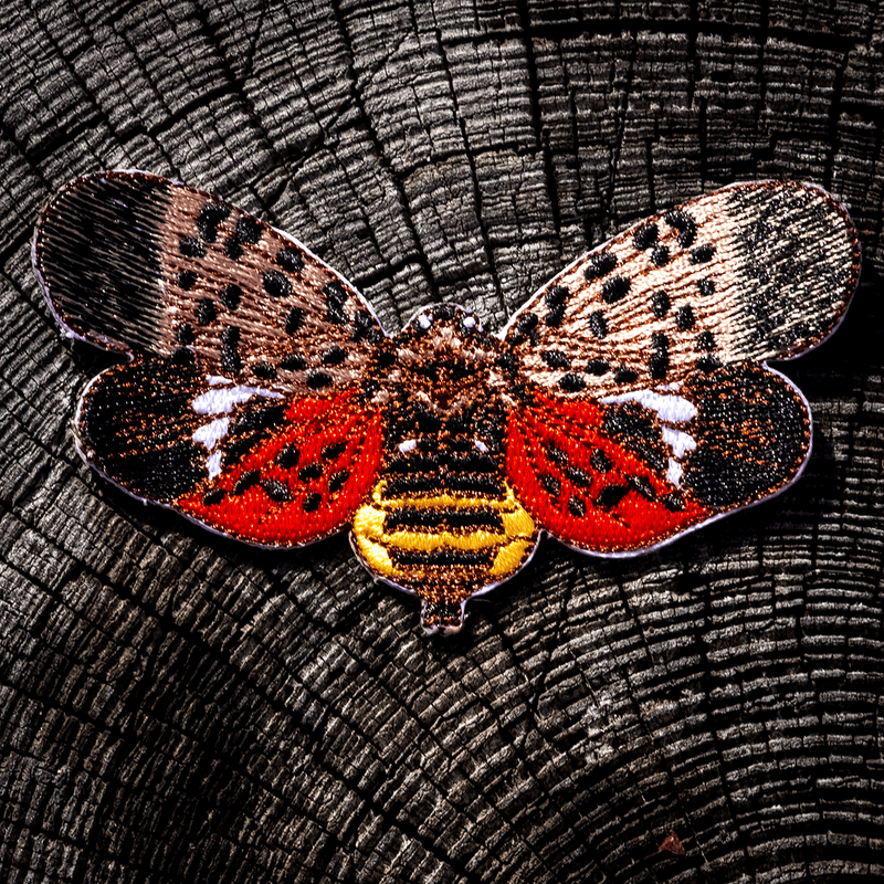 Spotted Lanternfly Patch by The Roving House
