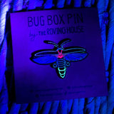 July 2021 Bug Box (Big Dipper Firefly)