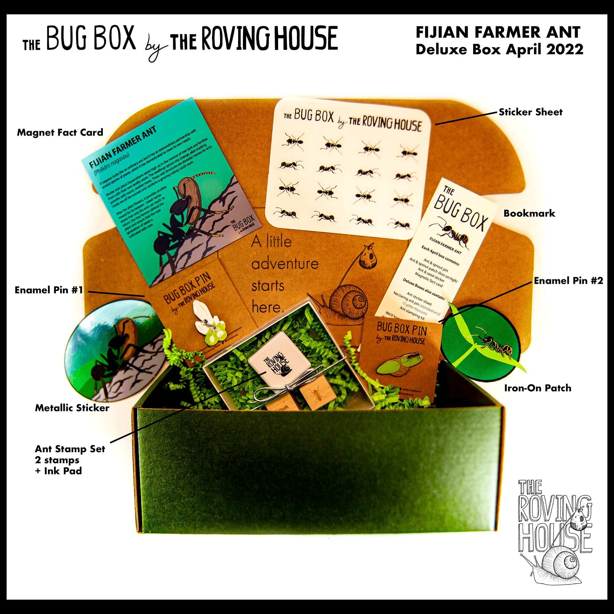 April 2022 Bug Box (Fijian Farmer Ant) by The Roving House