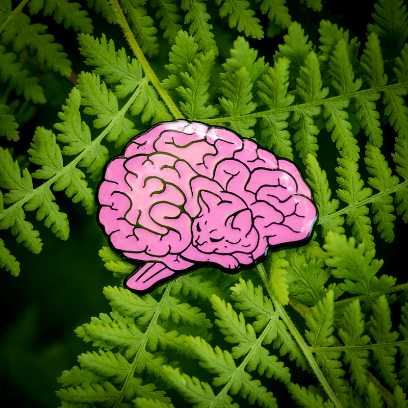 Cat Brain Enamel Pin by The Roving House