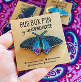 February 2022 Bug Box (Pink-spotted Cattleheart Butterfly)