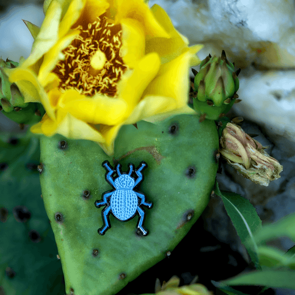 Blue Death Feigning Beetle Pin by The Roving House